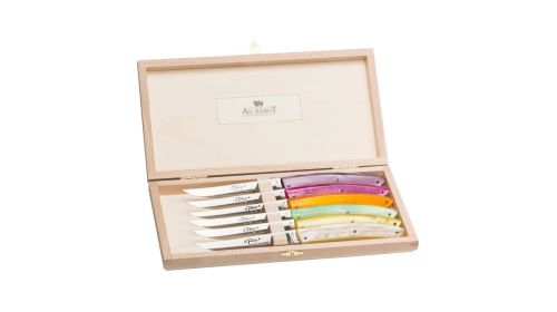 Coffret de 6 Couteaux de table Le Thiers® en plexi panachés Coffret de 6 Couteaux de table Le Thiers® en plexi panachés